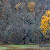 Autumn oak tree.
Rural Wisconsin